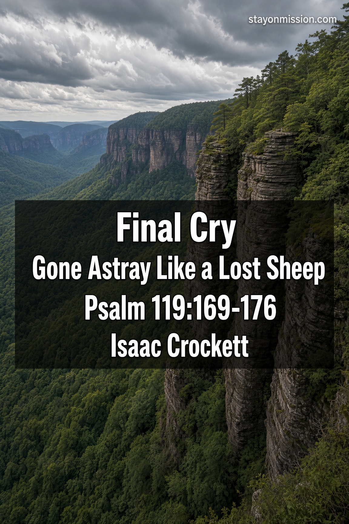Final Cry | Gone Astray Like a Lost Sheep | Psalm 119:169-176
